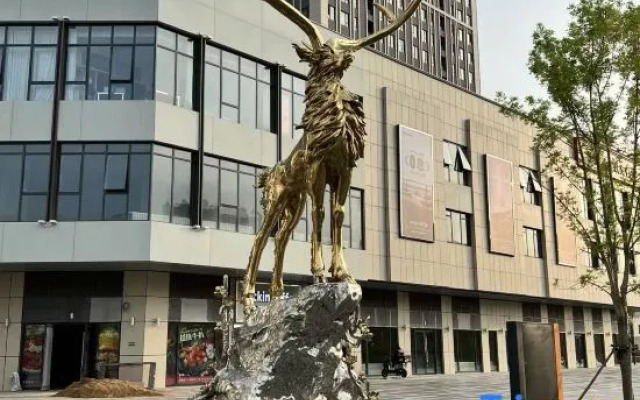 City Light Homestay (Datong University Branch)