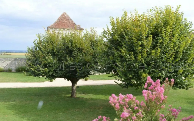 Gîte Parçay-sur-Vienne, 5 pièces, 8 personnes - FR-1-381-262