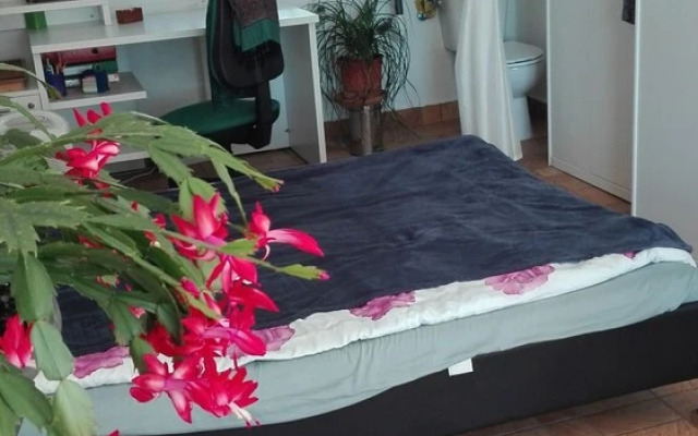 Casa Kimbo