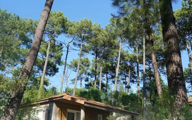 Residence Landes, Moliets - Holiday Home With Terrace