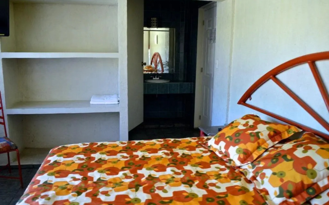 Hotel Gran Palmeiras