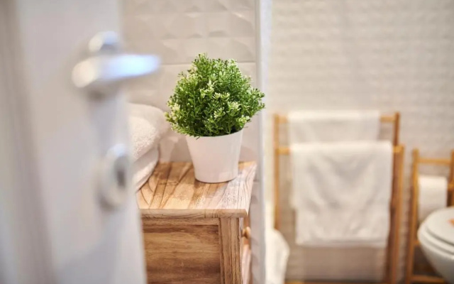Apartment David with Hydromassage Bath near Umag