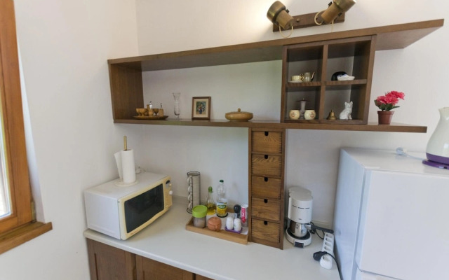 Apartment Ina