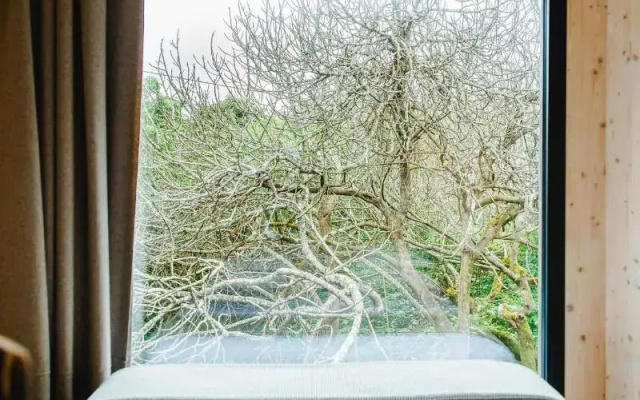 The Nest By Cooking and Nature