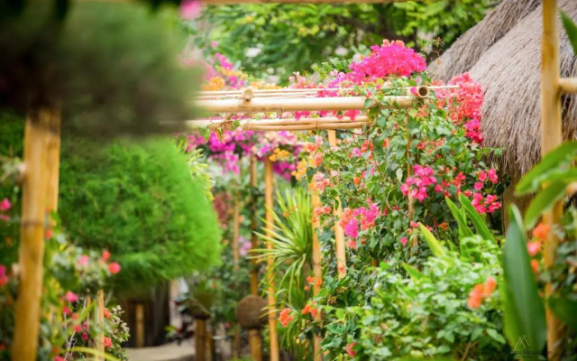 Bambu Cottages