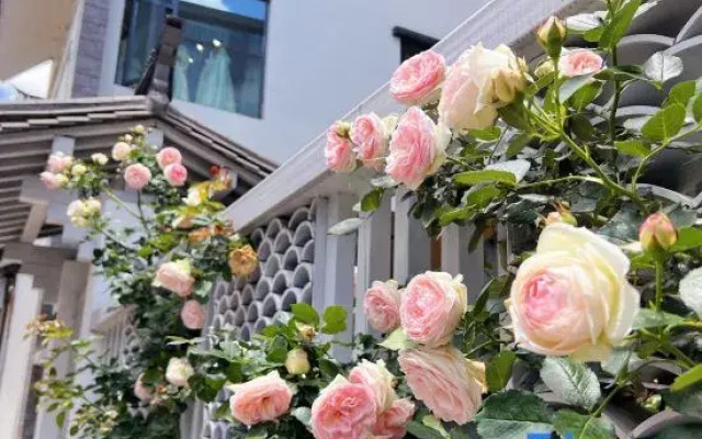 Dali Wanchang Homestay