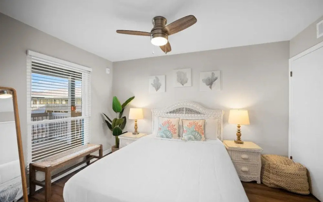 The Cove 205b