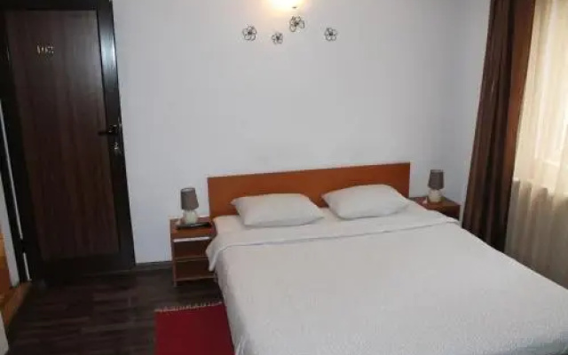 Pension Sinaia - Casa Ta