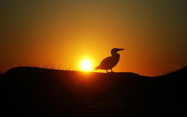 Pousada Corais De Abrolhos
