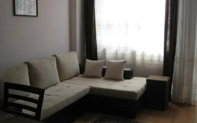 Classic Apartment