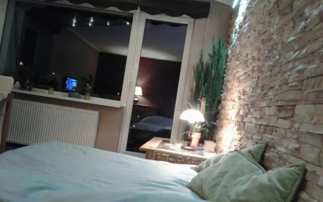 Apartament rodzinny 2 pokojowy. Widok na Snieżke.