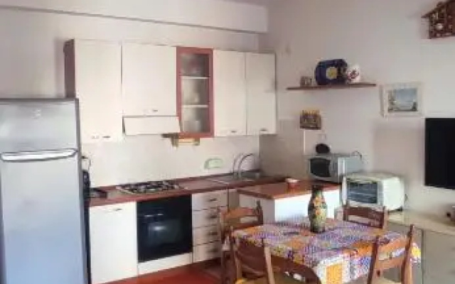 Kenzia house