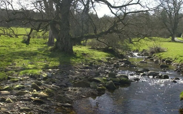 Ladyburn