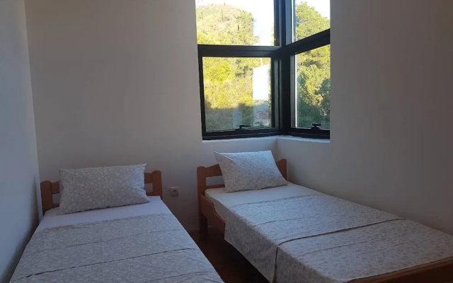 Apartment Junior