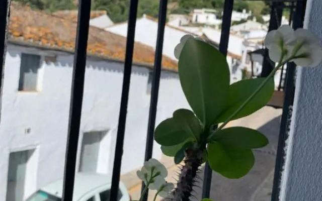El estudio - beautiful apartment in historic old town