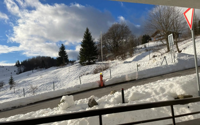Útulný apartmán 50m od lyžiarskeho vleku Triangel