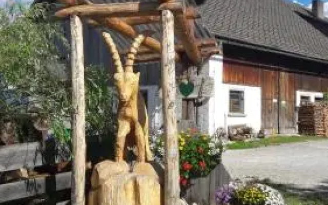 Lassacher Biobauernhof