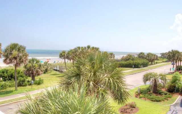 Ocean Forest 211A