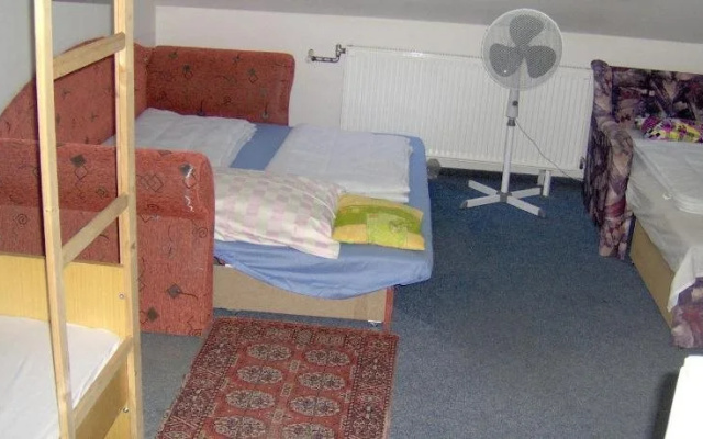 Olive Hostel