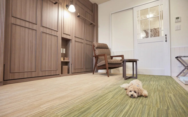 Le Chien Kyuu Karuizawa