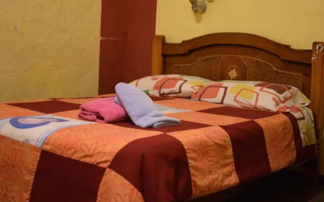 Secret Garden - Hostel