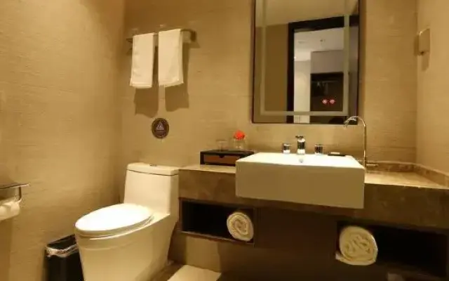 Homeinn Plus Hotel (Tai'an Dongyue Street Renault Wuyue Plaza)