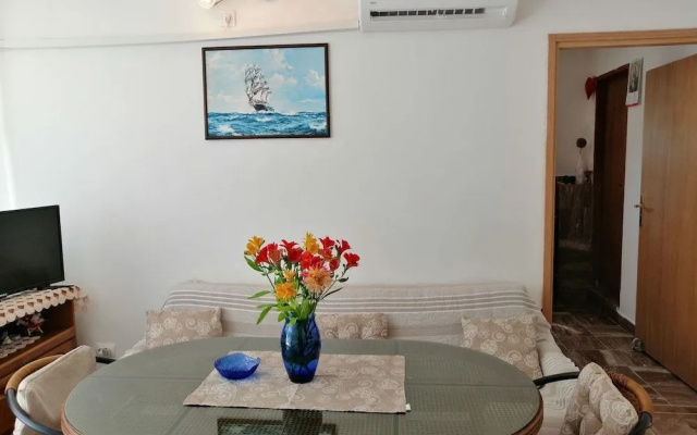 Apartment Zarace