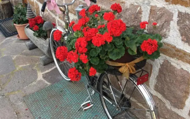 B & B il Nido