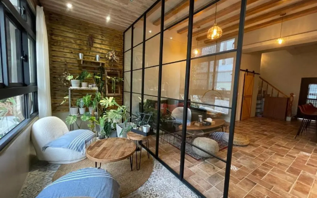 Lily's House