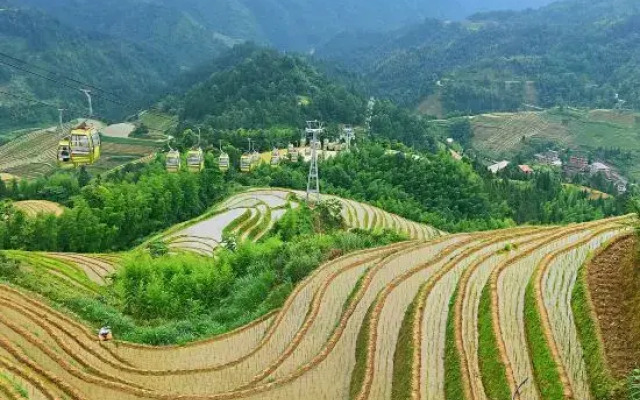 Longji Terrace Binlaiyue Homestay (Jinfoding Cable Car Dian)