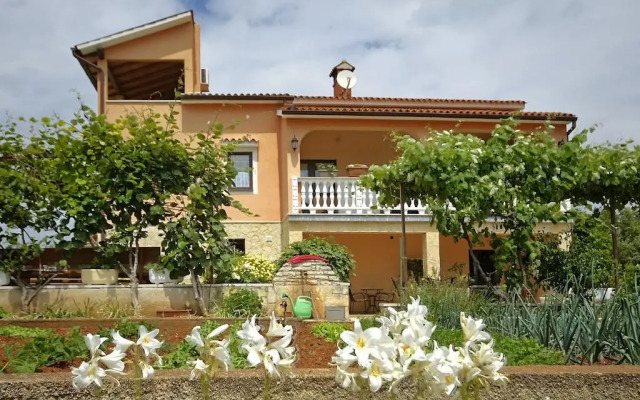 Apartments Alice Green Oasis -