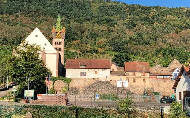 Appartement Spacieux Dans Joli Village Alsacien