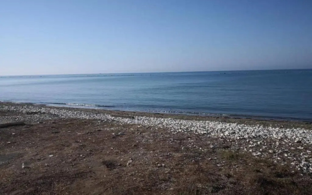 Sandy Beach N.8