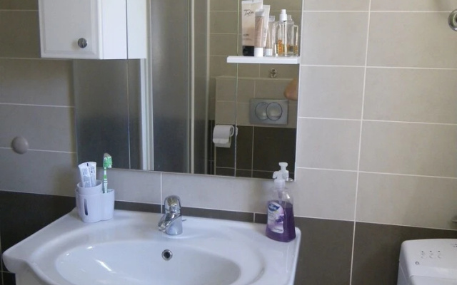 Apartment Mira