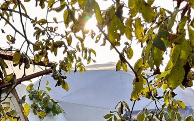 Time Out Sapanca Glamping Dome