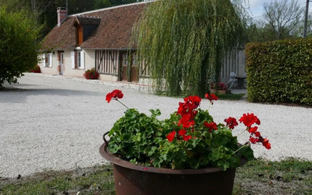 Gîte Cour-Cheverny, 2 pièces, 2 personnes - FR-1-491-36
