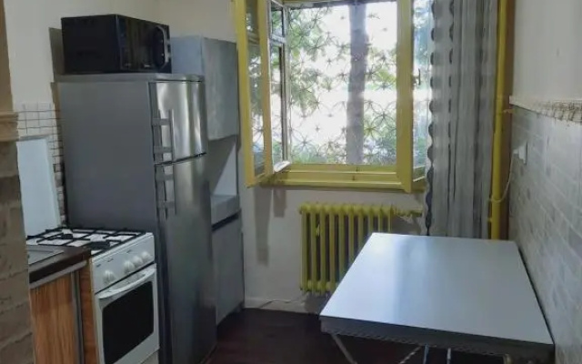 Dya * Ap DECOMANDAT 2 cam * Sat Vacanta