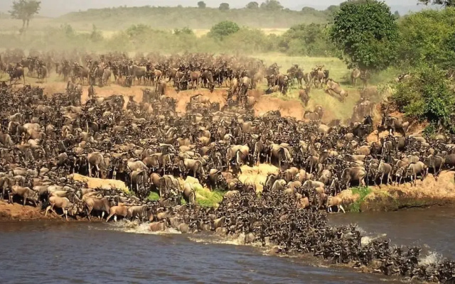 Mara Big Five Lodge