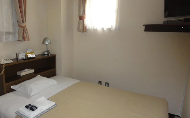 Hotel Yanagibasi