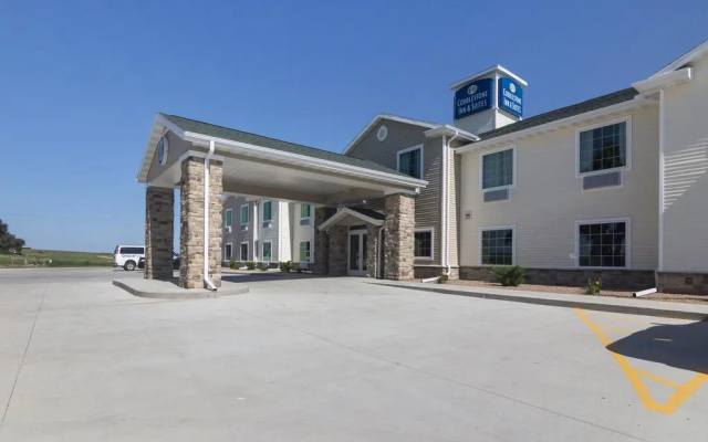 Cobblestone Inn & Suites - Lakin