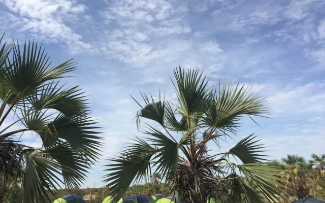 Napak Resort - Campsite