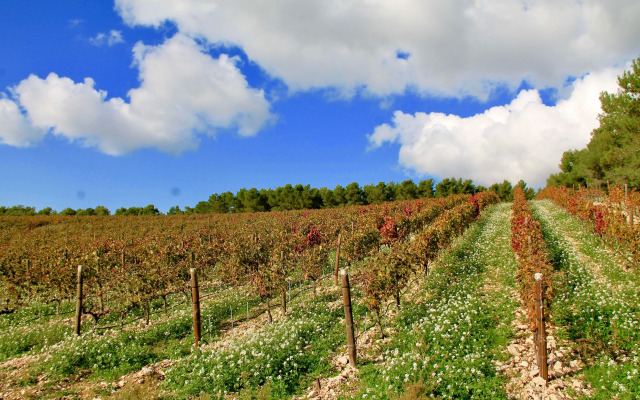 Chambres d'hôtes Domaine l'Olibaou