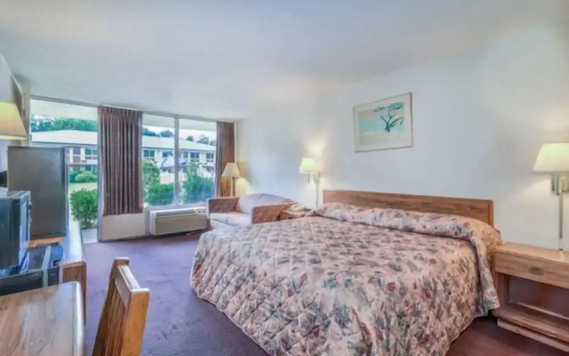 Guest Inn