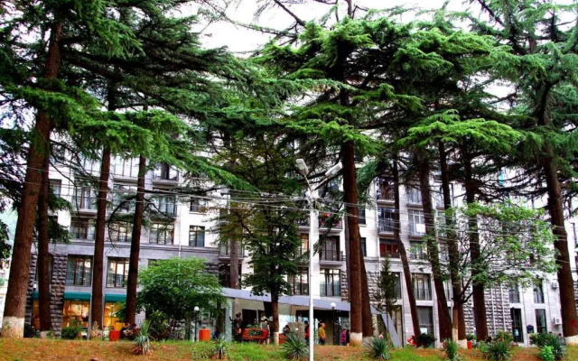 Serviced Apartment on Rustaveli Avenue 8