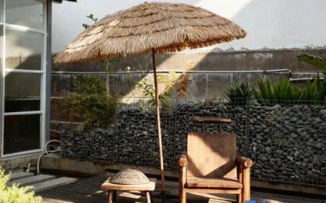 Shi Tou stayhome