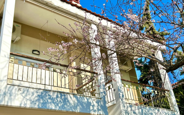 Studio Nikiti Beach