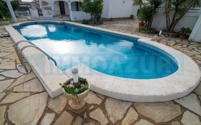 Palmera I