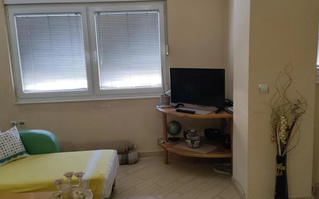 Central apartment