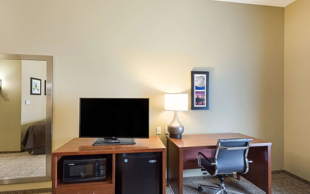 Comfort Inn & Suites Zachary