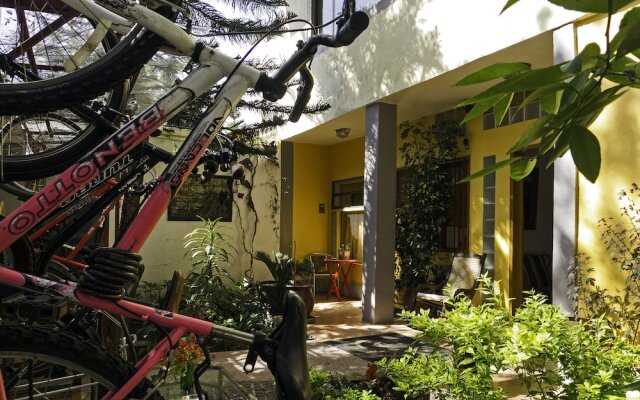 Отель Chalet del Carmen Coyoacán Мексика, Мехико - отзывы, цены и фото номеров - забронировать отель Chalet del Carmen Coyoacán онлайн вид на фасад